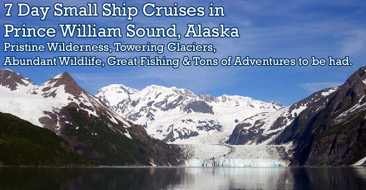 Abundant wildlife, great fishing and tons of adventues to be hand in Prince William Sound, Alaska.