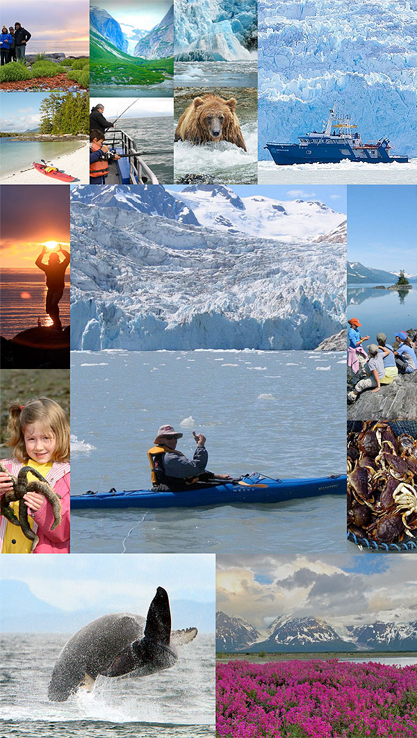 The many activities available on an Alaska small cruise